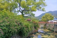 【御海周边山村游】网红健身休闲村甲岙村